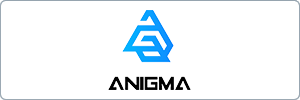 A blue geometric triangular logo above the word ANEMA in bold, modern black font, all within a gray rectangular border.
