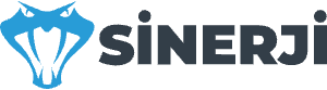 Logo for Sinerji featuring a stylized blue snake head on the left and the word SİNERJİ in bold, uppercase black letters on the right.