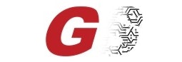 Next Gen Systems logo