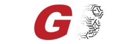Next Gen Systems logo
