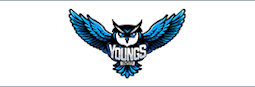 Young's Computer logo
