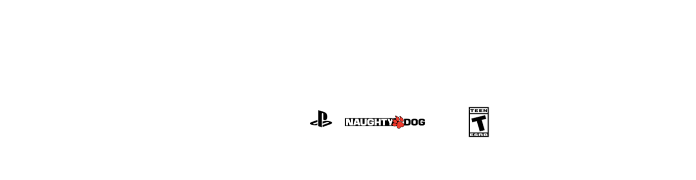 AMD Partner Logo