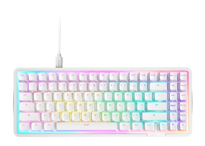 White Function Elite Keyboard with vibrant RGB