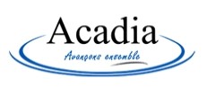 Logo with the word Acadia in large black letters above the phrase Avançons ensemble in blue cursive, both above a blue swoosh and curved lines.