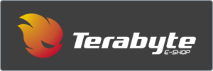 Logo for Terabyte E-Shop on a dark background, featuring a stylized orange and red flame icon to the left of the white text.